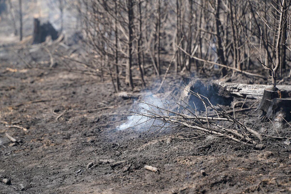 Durch die Verhältnisse des Waldbodens dürften die Löscharbeiten noch Stunden, wenn nicht Tage andauern.