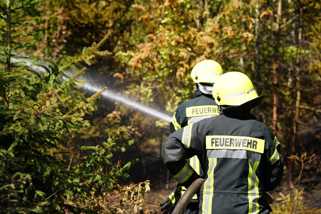Kameraden der verschiedenen Plauener Feuerwehren versuchen nun weiter vom Boden aus den Brand im Plauener Süden zu löschen. 
