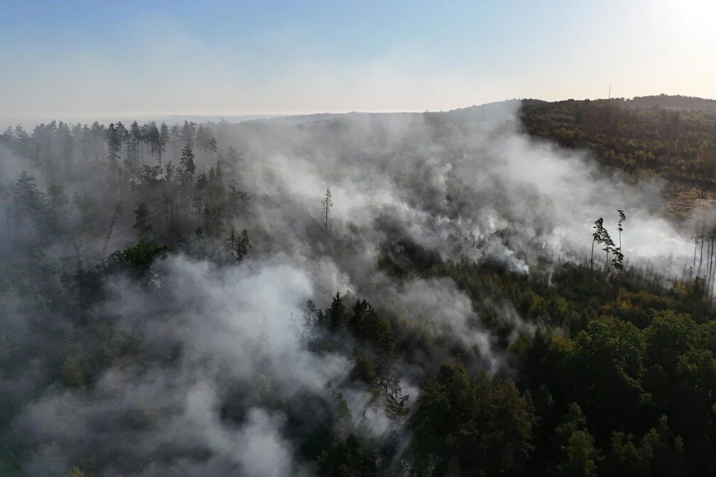 Der abgebrannte Wald bei Meßbach gibt nun ein jämmerliches Bild ab. Mittels Drohnen wurde versucht, weitere Glutnester ausfindig zu machen.