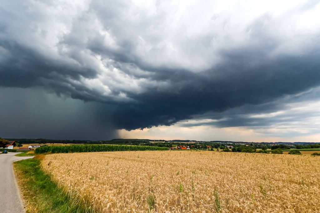 Gewitterfront über einem Getreidefeld: Ab Mitte August rechnen die Wettermodelle mit einer Umstellung der Großwetterlage. (Symbolbild)