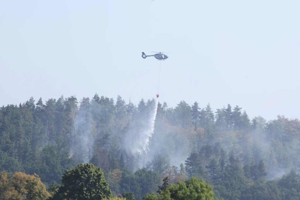 Schwerzugängliches Terrain: Im Flug werden die Wassermassen auf das steile Waldgebiet gekippt.