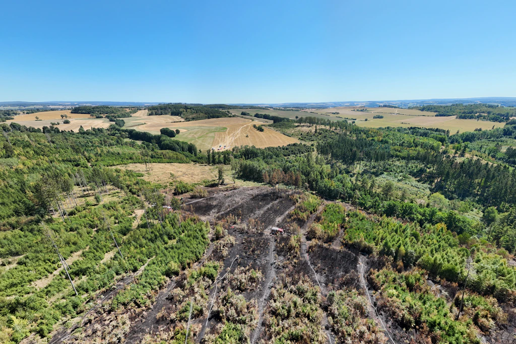 Das Brandgebiet im „Schwarzen Holz“ von oben: Ein Bild der Verwüstung bleibt auf sieben Hektar Fläche zurück.