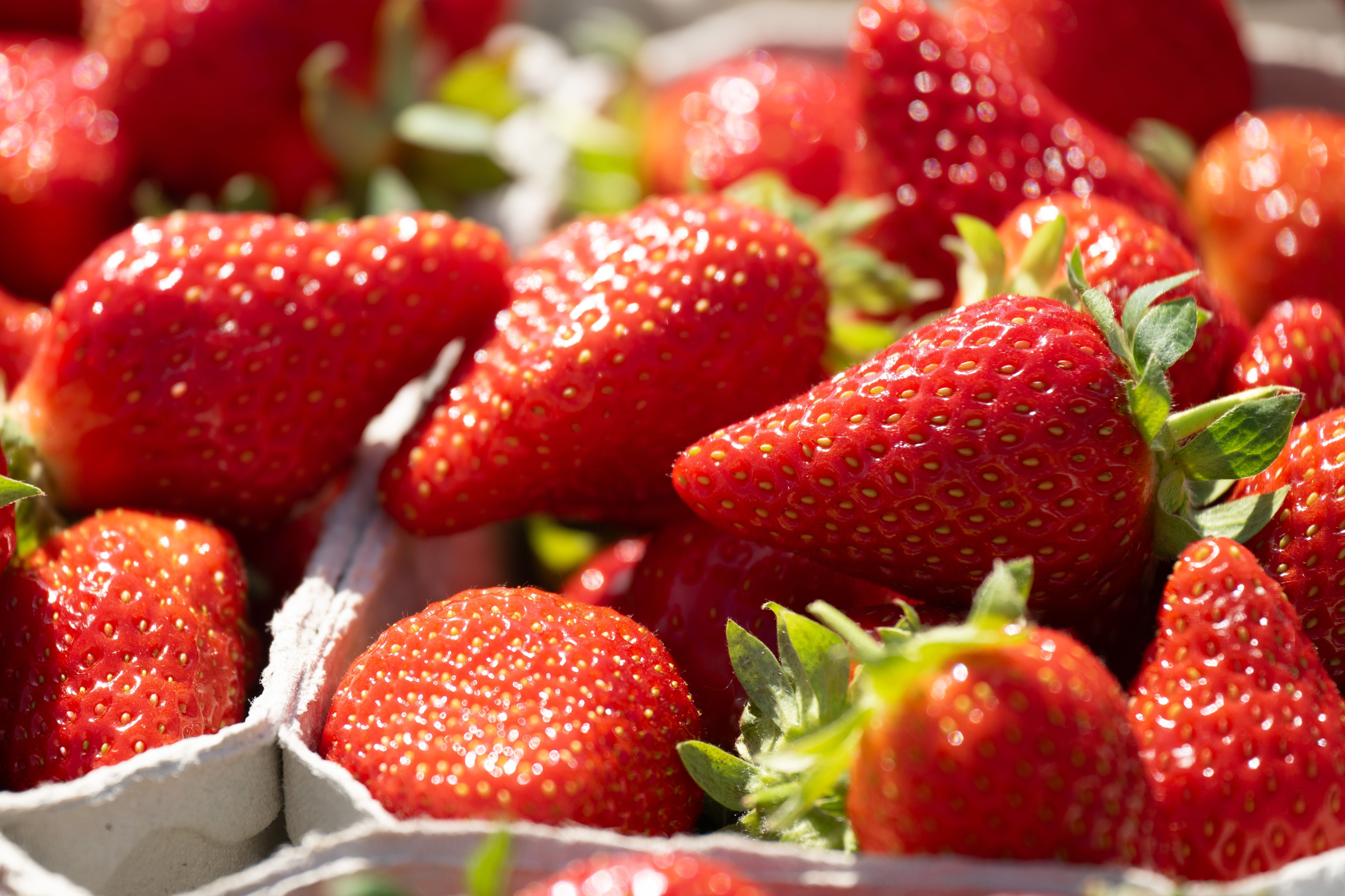 Norovirus-Verdacht: Diese Erdbeeren von Kaufland auf keinen Fall essen