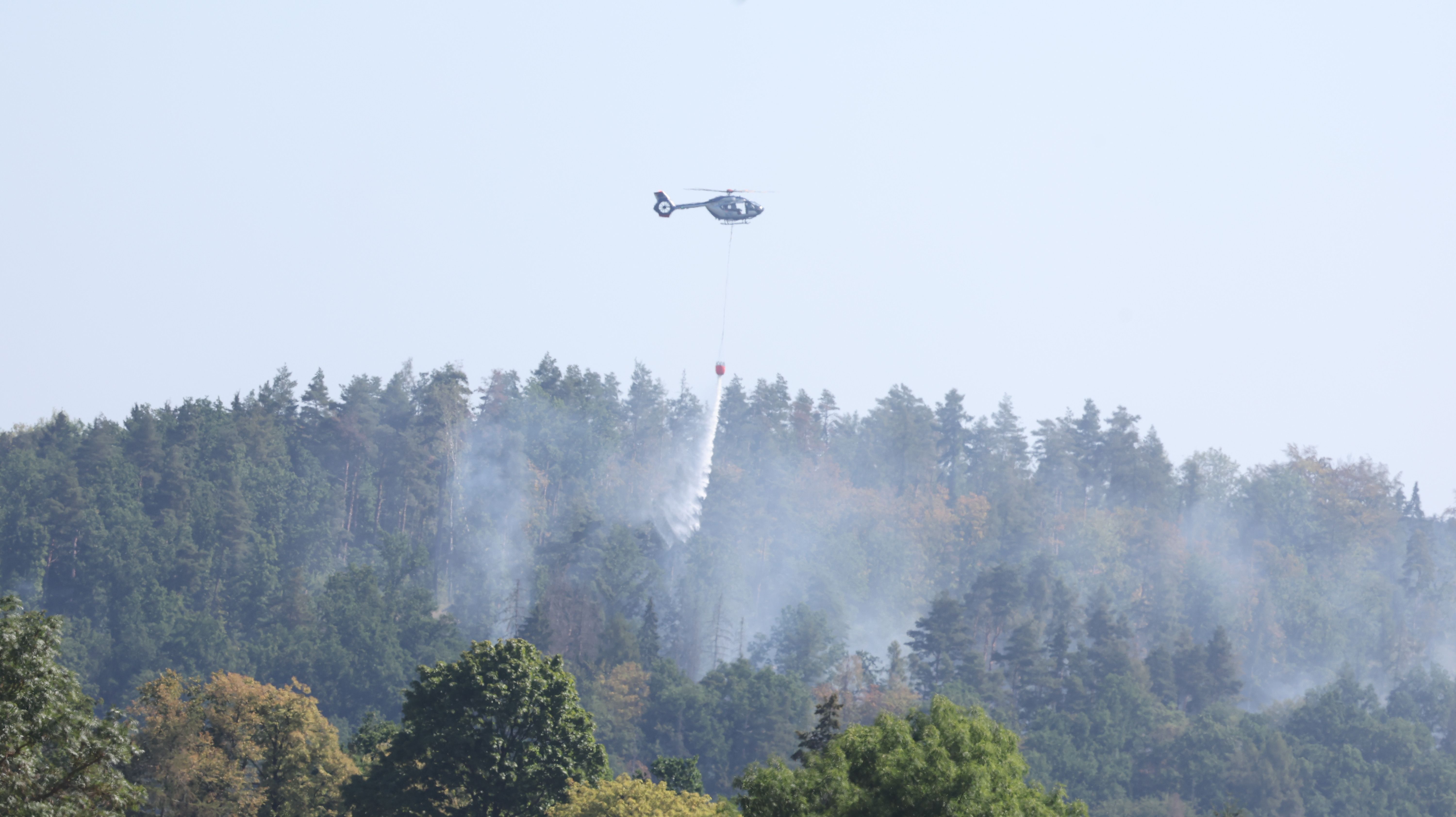 Waldbrand bei Plauen: Feuerwehr zieht sich zurück – noch keine Entwarnung