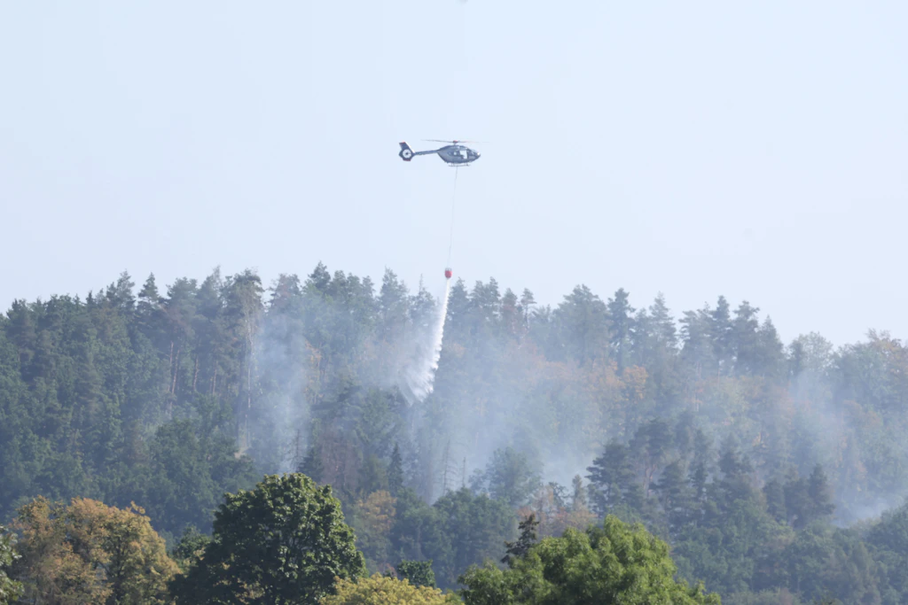 Waldbrand bei Plauen: Feuerwehr zieht sich zurück – noch keine Entwarnung