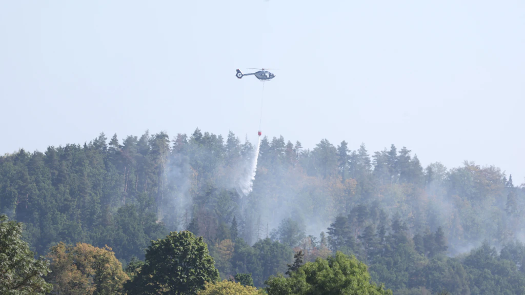 Waldbrand bei Plauen: Feuerwehr zieht sich zurück – noch keine Entwarnung