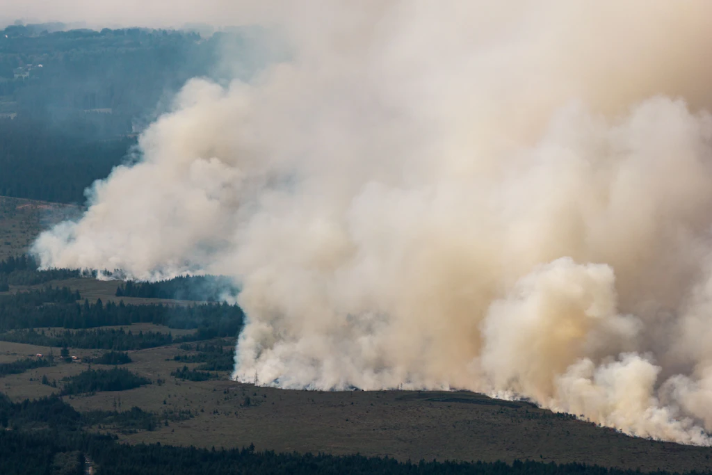 Großer Waldbrand nahe der deutschen Grenze: Anwohner sollen Häuser verlassen