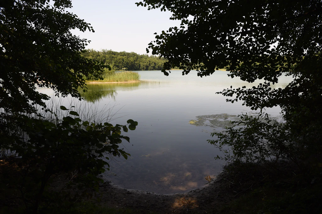Manche Seen wie den Großen Lankesee kennen fast nur Einheimische aus Brandenburg.