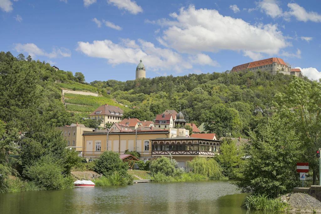 Schloss Neuenburg und Weinberge in Freyburg in Sachsen-Anhalt.