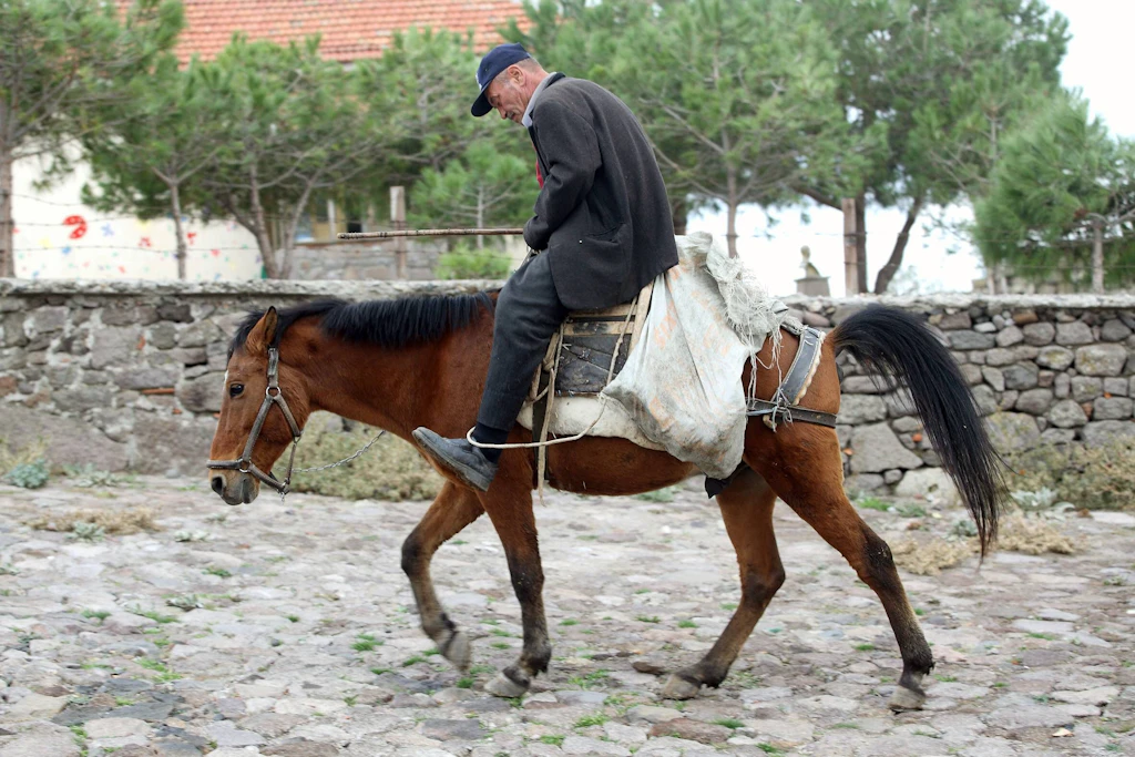 180 Euro pro Tankfüllung – jetzt reitet er zur Arbeit
