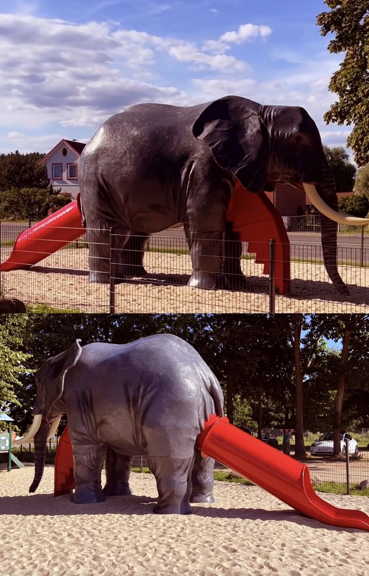 Po-Skandal in Malliß: So wird ein Elefant zum Internet-Star
