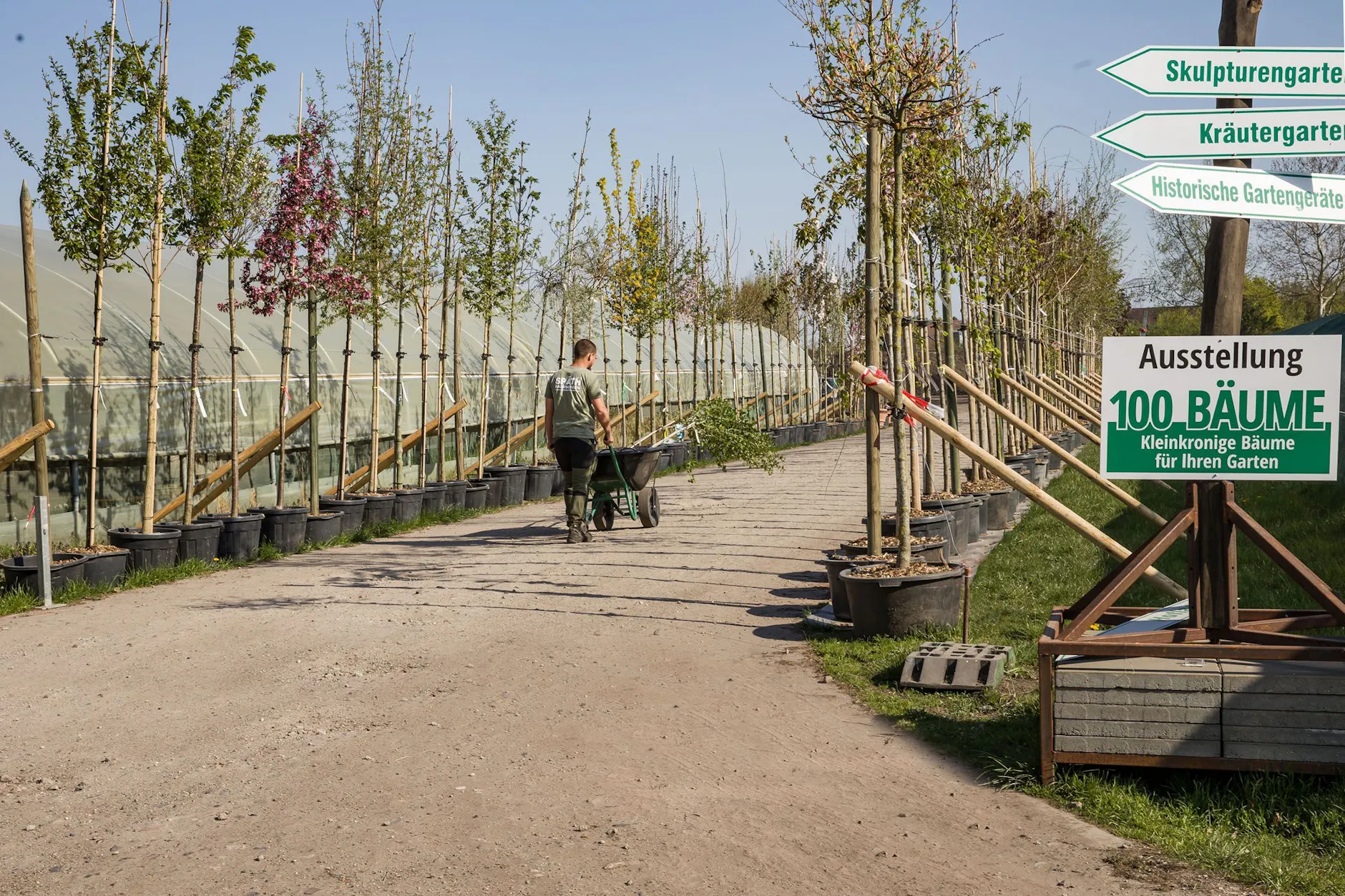 Eine <strong>Baumschule</strong> ist ein Gartenbaubetrieb, in dem Bäume, Sträucher und andere Gehölze gezüchtet, gepflegt und für den Verkauf an Privatkunden, Unternehmen oder Kommunen herangezogen werden.