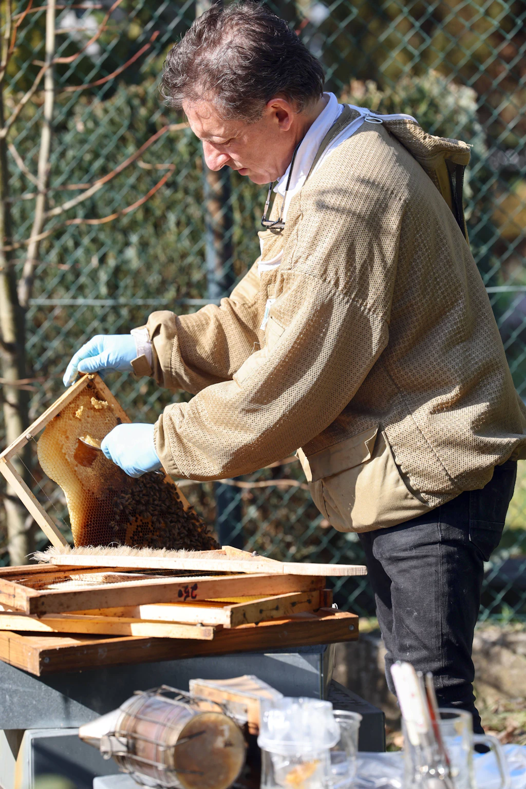 22.03.2025, Neuenhagen, Brandenburg, GER - Imker entnimmt eine Futterkranzprobe von einer Brutwabe eines Bienenvolkes. Anhand dieser Honigprobe kann in einem Labor festgestellt werden, ob in einem Bienenvolk Sporen der Amerikanischen Faulbrut vorhanden sind. (MR=yes, 50-60 Jahre, AFB, Amerikanische