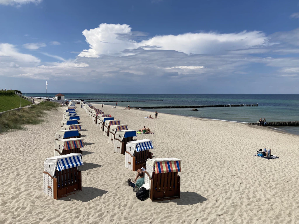 Blaualgen in MV: Warnungen bleiben bestehen – Lage teils entspannter