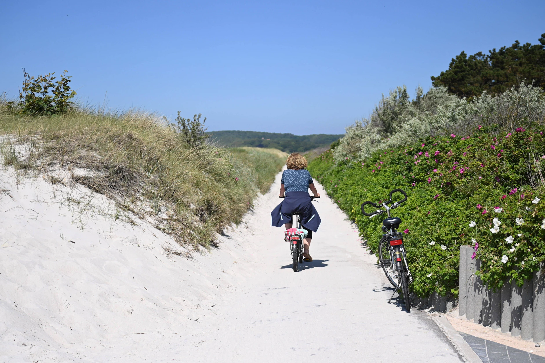 Eine Radfahrerin ist auf der Insel Hiddensee, am Strand von Vitte, unterwegs.