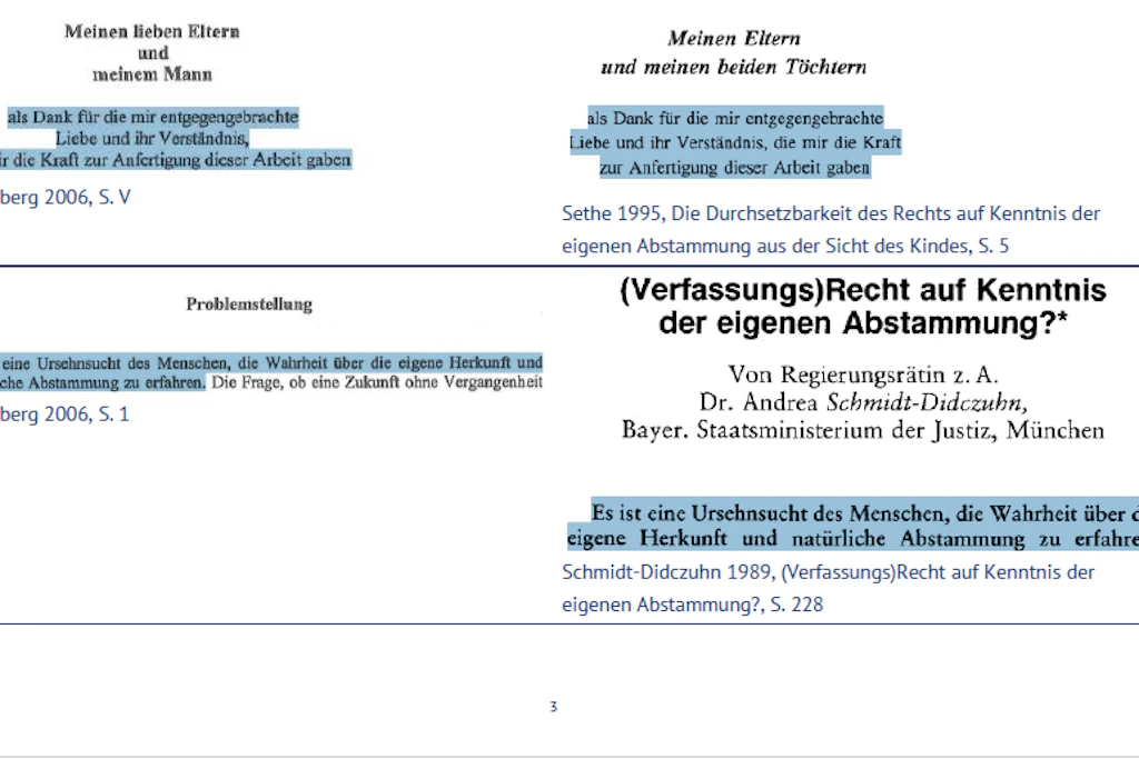 Aus dem Dokument des Plagiatjägers.