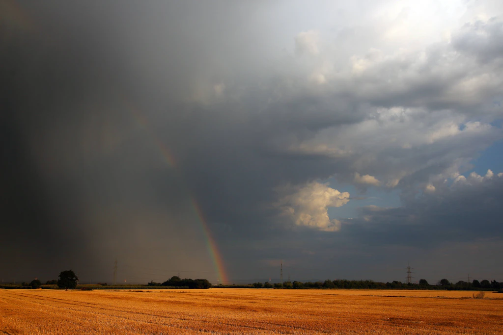 Eine Regenwand zieht über ein abgeerntetes Feld. Am Mittwoch trennt ein Regenband den Norden vom Süden, am Abend drohen im Südwesten kräftige Gewitter. (Symbolbild)