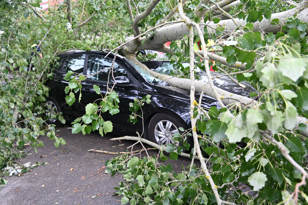 Deutscher Wetterdienst bestätigt Tornado in Fürstenwalde