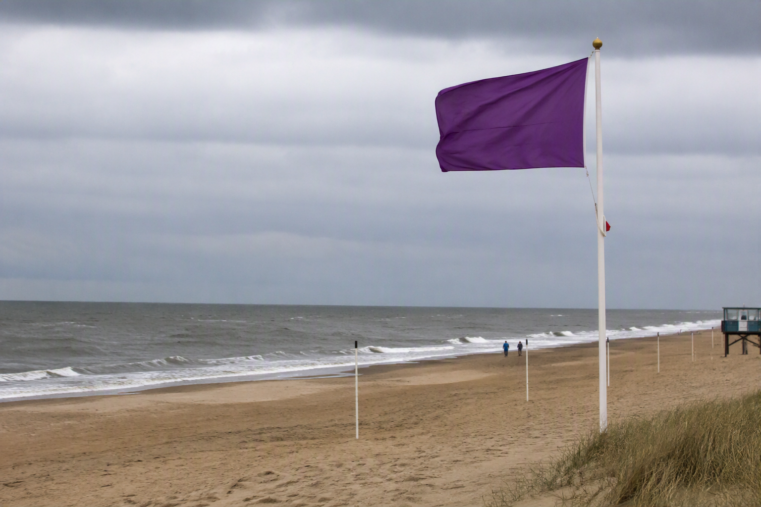 Lila Flagge am Strand: Das müssen Urlauber in den Niederlanden wissen