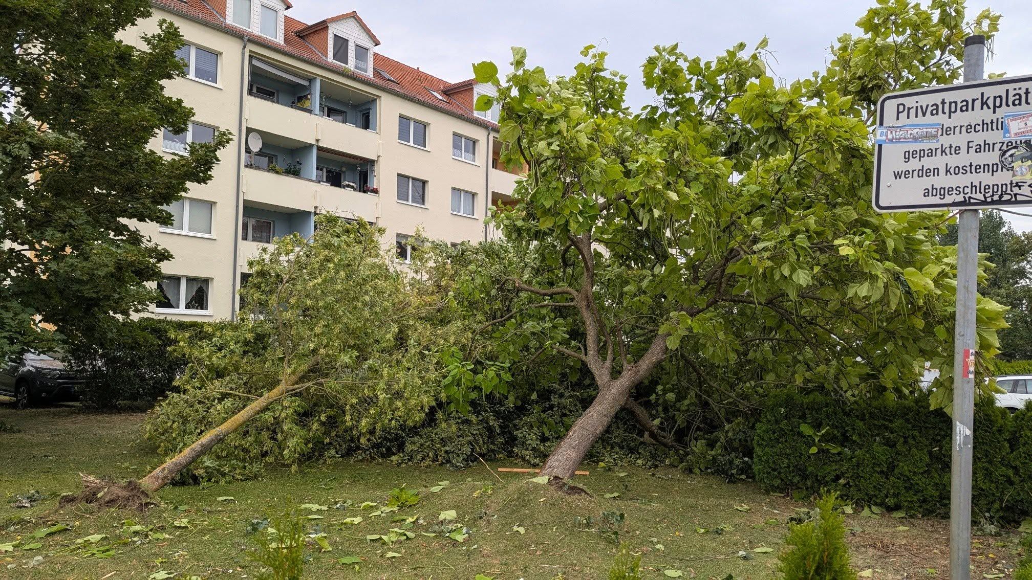 Tornado zieht durch Fürstenwalde: Erhebliche Schäden und Verletzte!