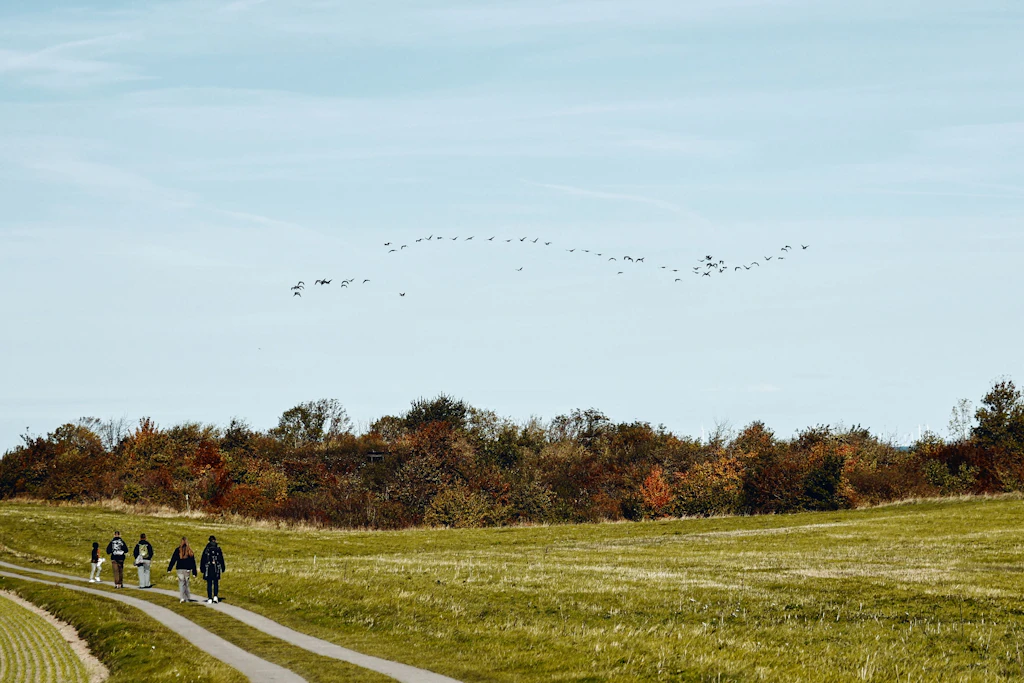 Wanderer auf der Straße in Richtung Breege am Kap Arkona auf Rügen.