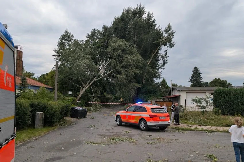 Die Feuerwehr Fürstenwalde sperrte den Bereich um einen umgestürzten Baum ab; der Einsatz dauerte am Abend noch an.