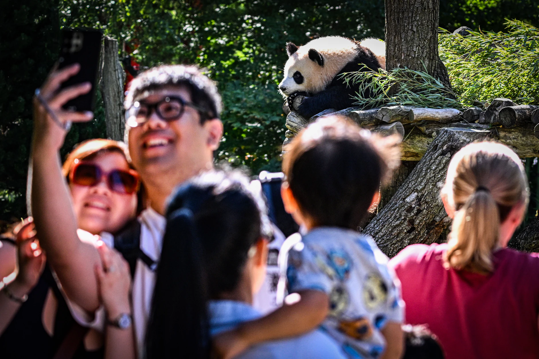 Selfies machen mit Leni und Lotti. Die Panda-Zwillinge im Zoo Berlin sind weiter ein Besuchermagnet.