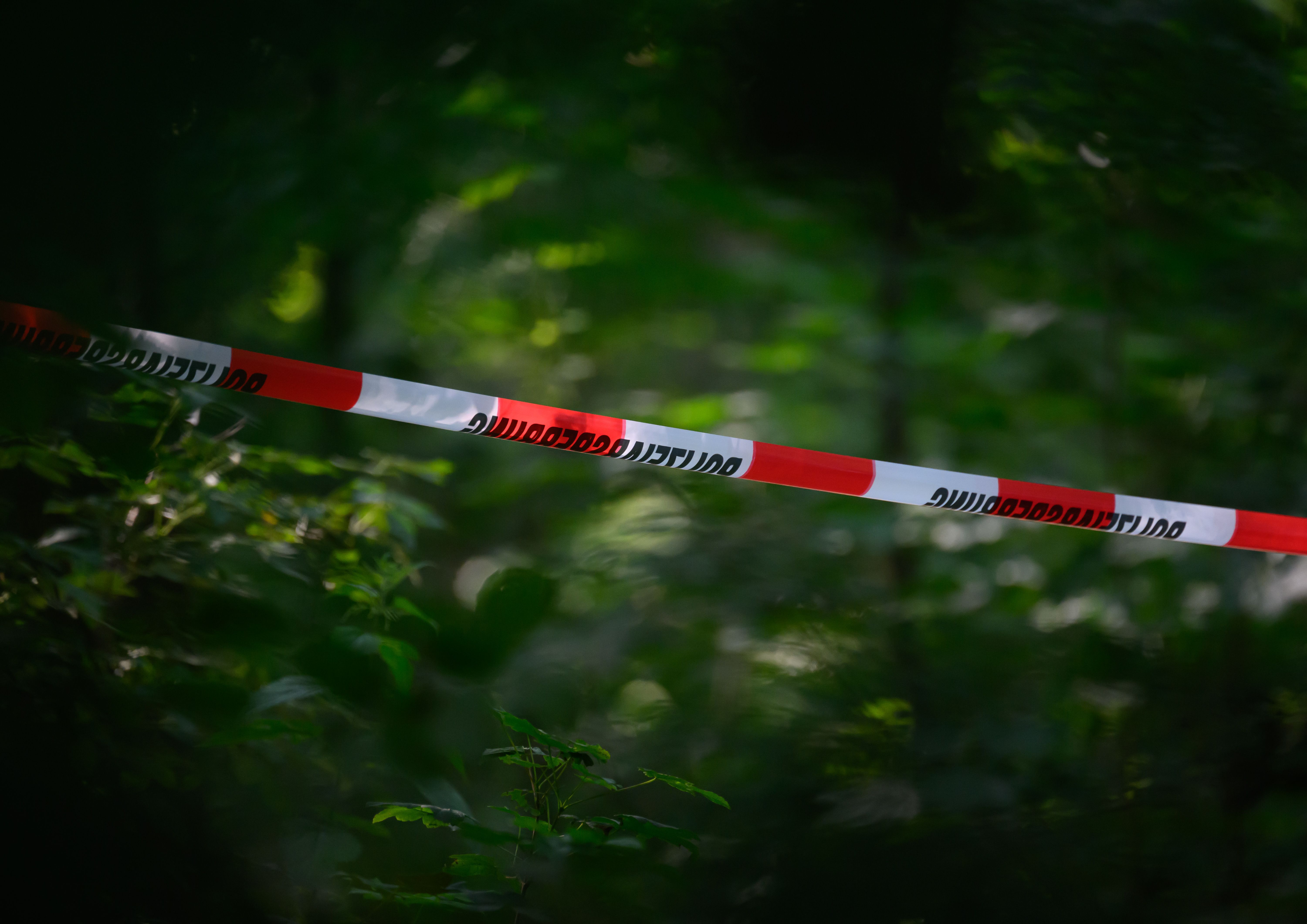 Waffenlager im Wald bei Berlin enttarnt: Spuren führen nach Russland