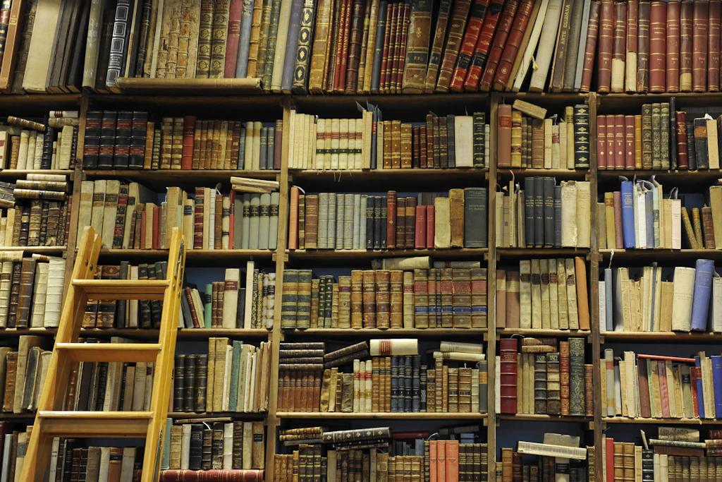 Tonnenweise Text: Wie Big Tech Antiquariate leerkauft, um seine KI zu füttern