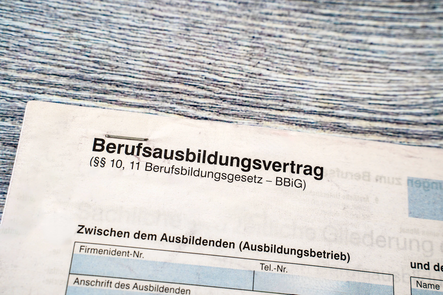 In Mecklenburg-Vorpommern blieb im vergangenen Lehrjahr mehr als jeder zweite Ausbildungsplatz unbesetzt.