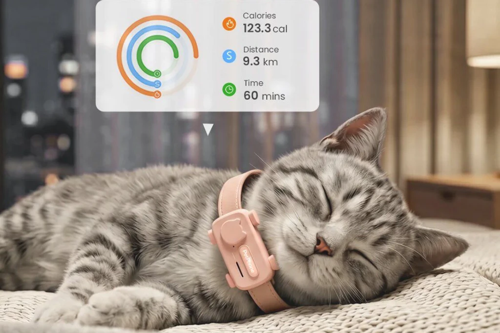 Warum nicht mal mit der eigenen Katze telefonieren? Das soll mit dem PetPhone von&nbsp;Petpogo kein Problem sein.