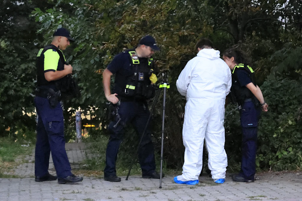 Ein Spaziergänger entdeckte in PrenzlauerBerg in einem Gebüsch den Leichnam einer Frau.