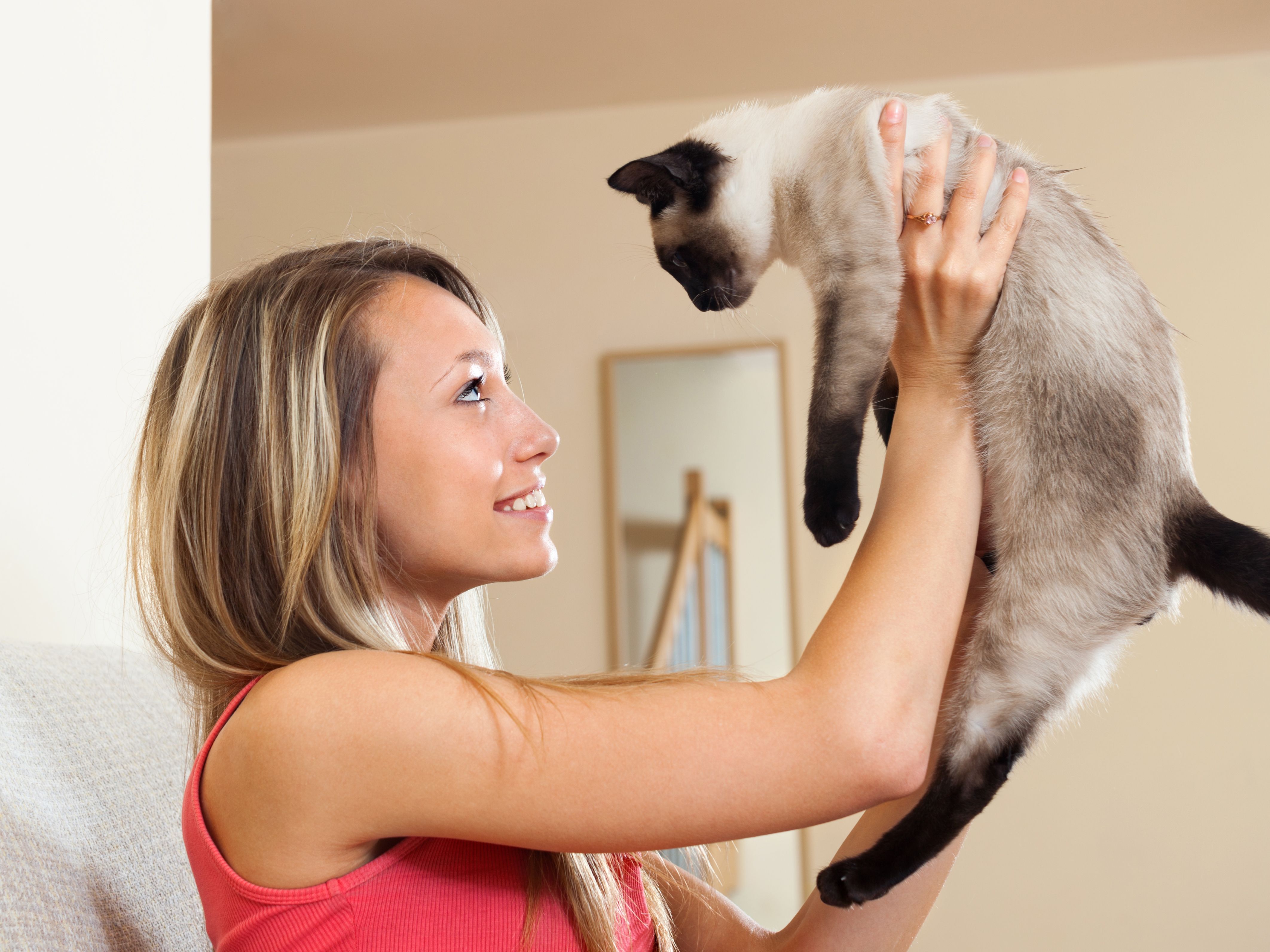 Ihre Katze miaut viel? Das könnte der wahre Grund sein