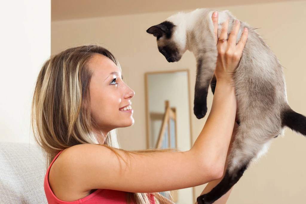 Katzen miauen fast nur für ihre Menschen, nicht für andere Katzen.
