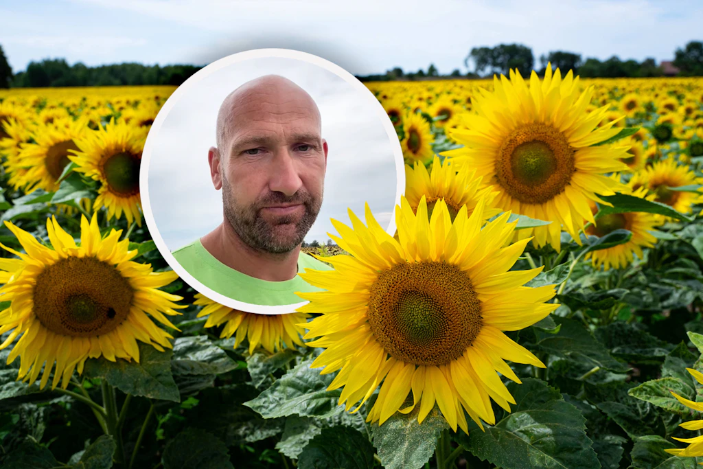 Landwirt Christian Nicklisch ertappte einen Sonnenblumen-Dieb auf seinem Feld auf frischer Tat - und wird mit dem Video nun zum Internet-Star.
