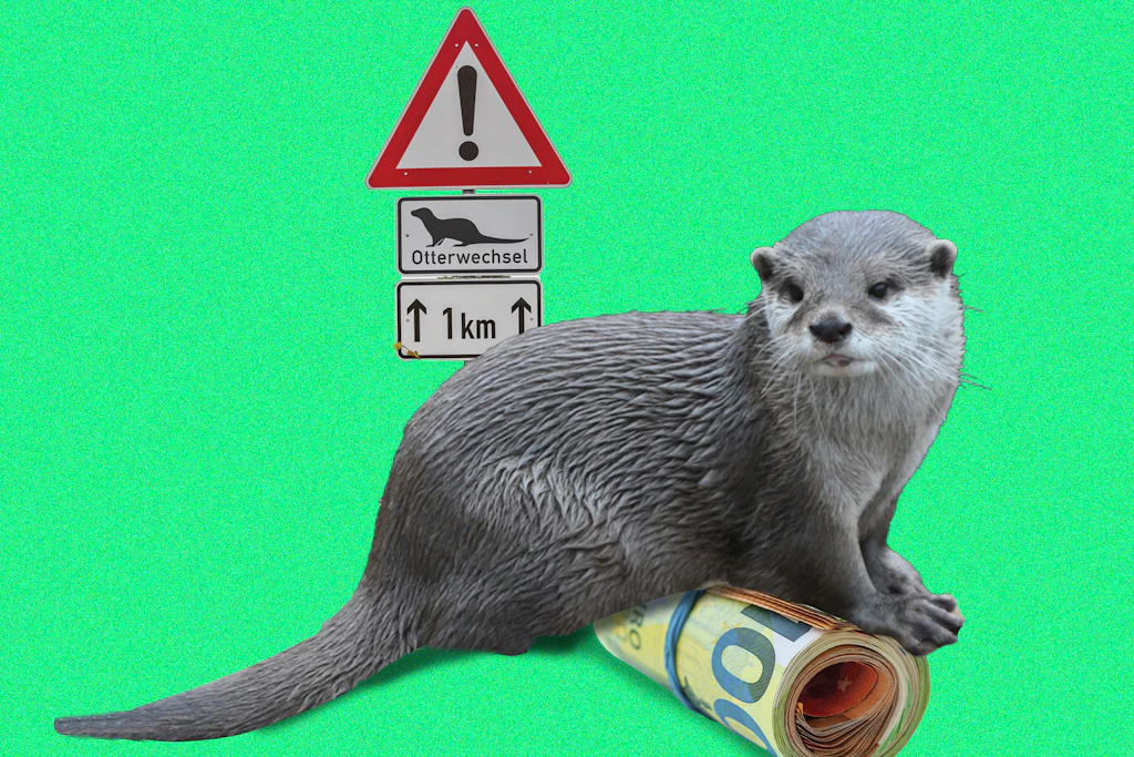 Otter oder Straße?
