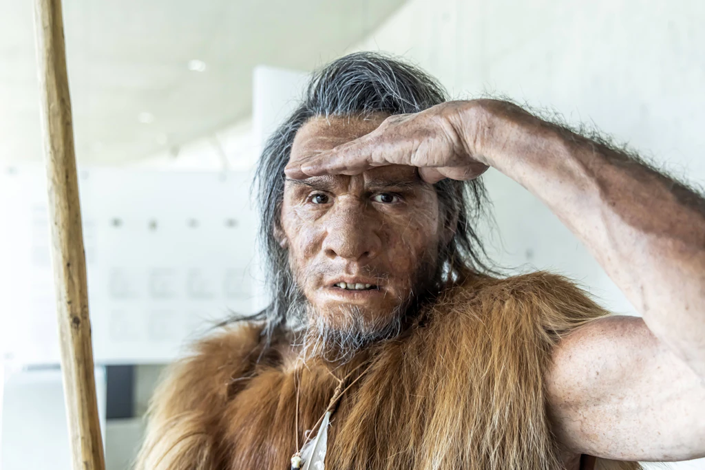 Eine Rekonstruktion des Homo neanderthalensis im Archäopark Niederstotzingen