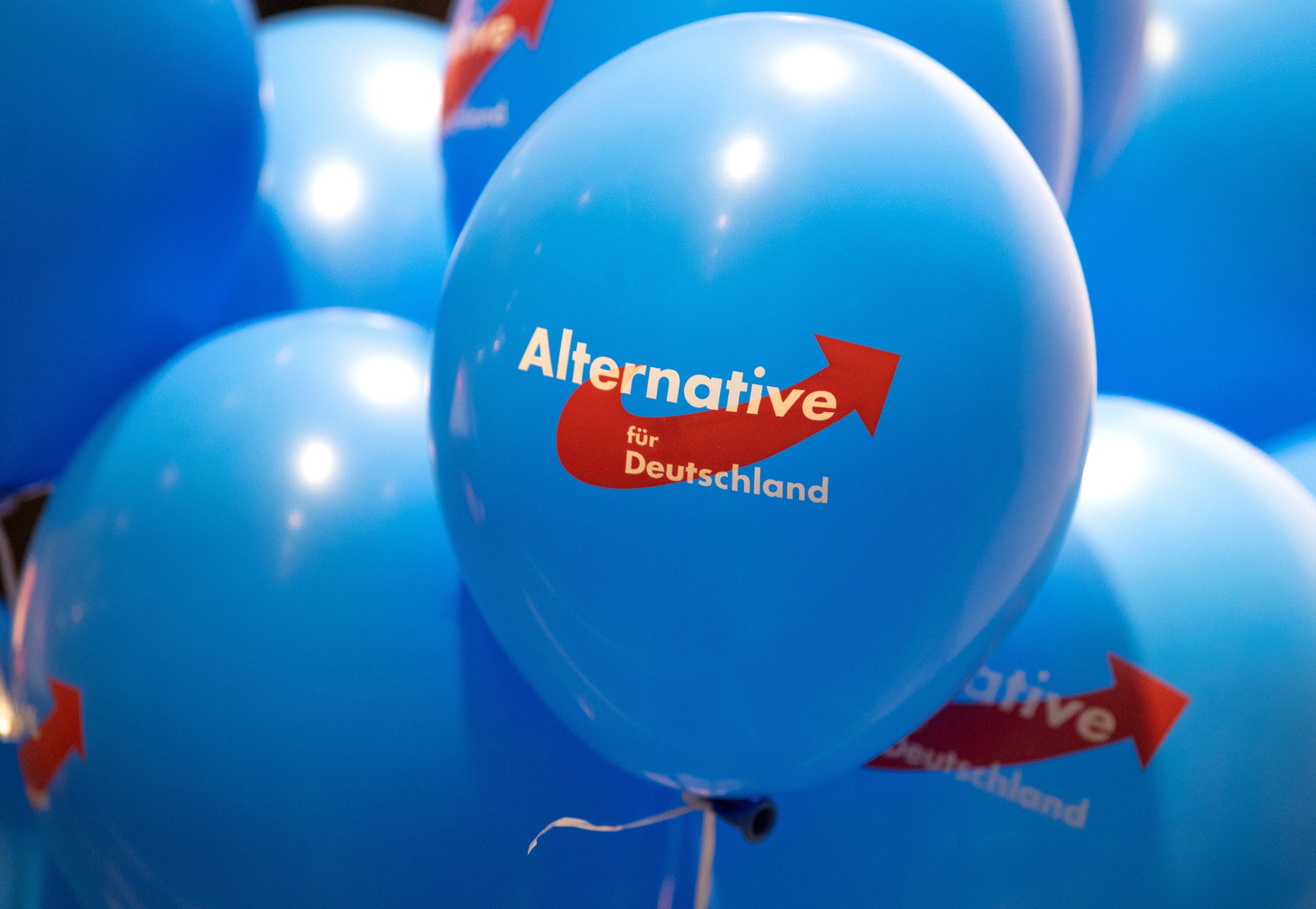 Wegen Verfassungsschutz-Einstufung: Schule verbietet Schülerin AfD-Praktikum