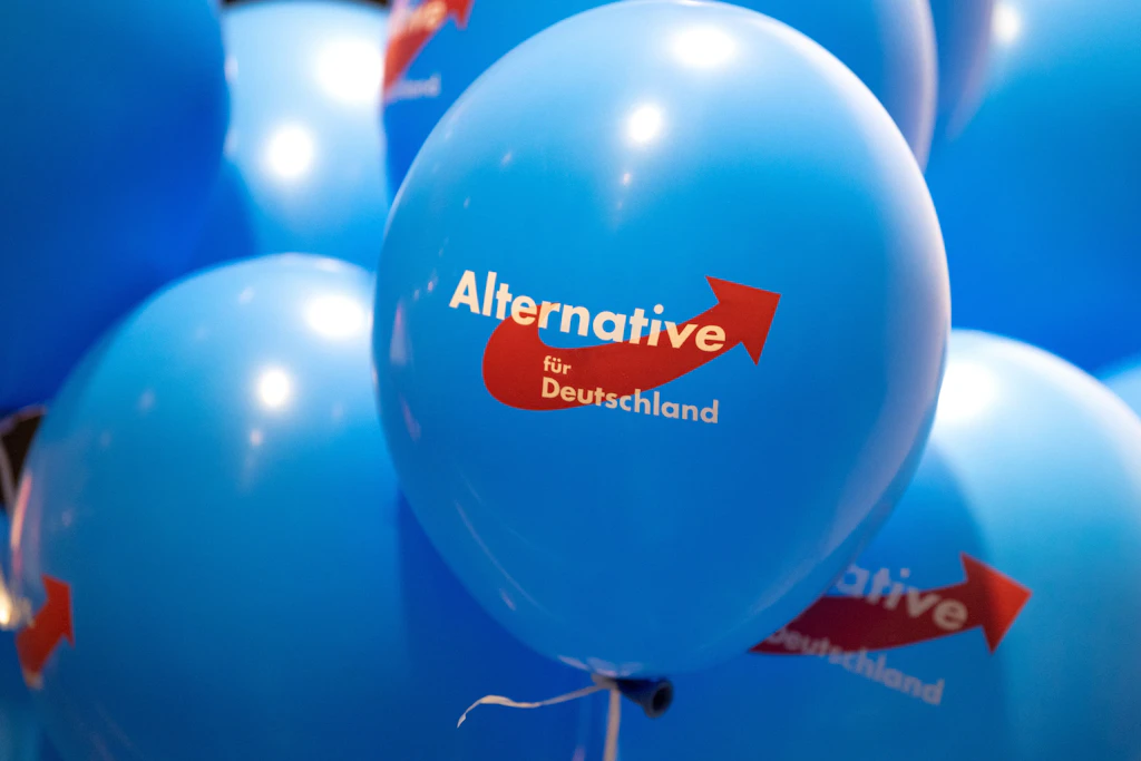 Der Traum vom Praktikum bei der AfD ist für Gina K. geplatzt.