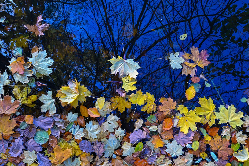 Kommt auf jeden Fall: der Herbst. Und mit ihm die Erkältungszeit.