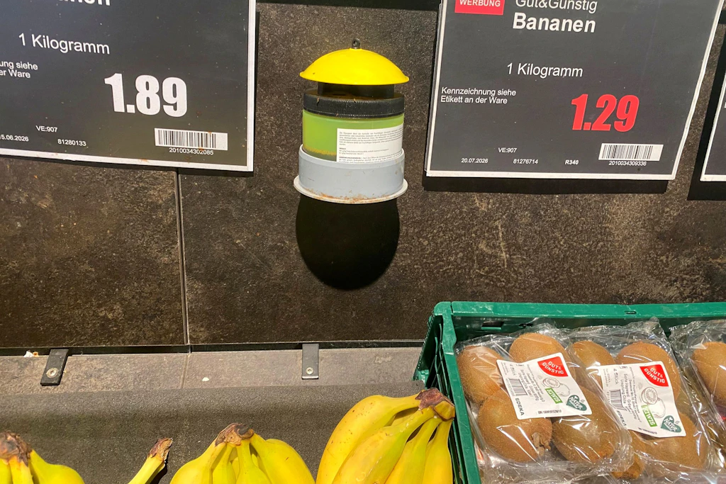 Was hängt denn da im Obstregal bei Edeka? Diese merkwürdigen Dosen haben einen ganz bestimmten Zweck.