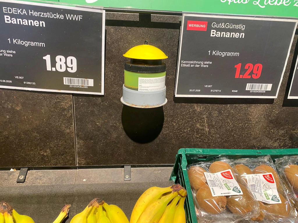 Verwirrung bei Edeka: Dafür sind die rätselhaften Dosen im Obstregal da