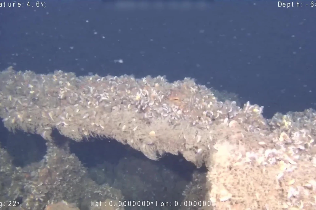 Die von der Kriegsgräberfürsorge zur Verfügung gestellte Unterwasseraufnahme zeigt Teile des gesunkenen U-Boots U-583 östlich der Insel Bornholm in der Wirtschaftszone Polens.