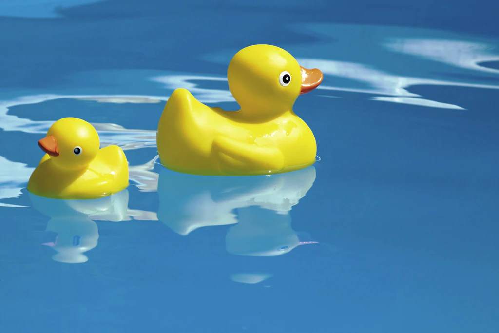 Quietscheenten sind auf Kreuzfahrtschiffen zum Streitfall geworden: Marella Cruises bittet Gäste, die Gummienten zu Hause zu lassen. (Symbolbild)
