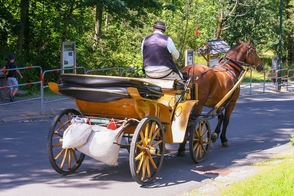Ein 45-Jähriger wurde von einer Kutsche überrollt und mitgeschleift. Der Mann wurde mit schweren Verletzungen in ein Krankenhaus eingeliefert. (Symbolbild)