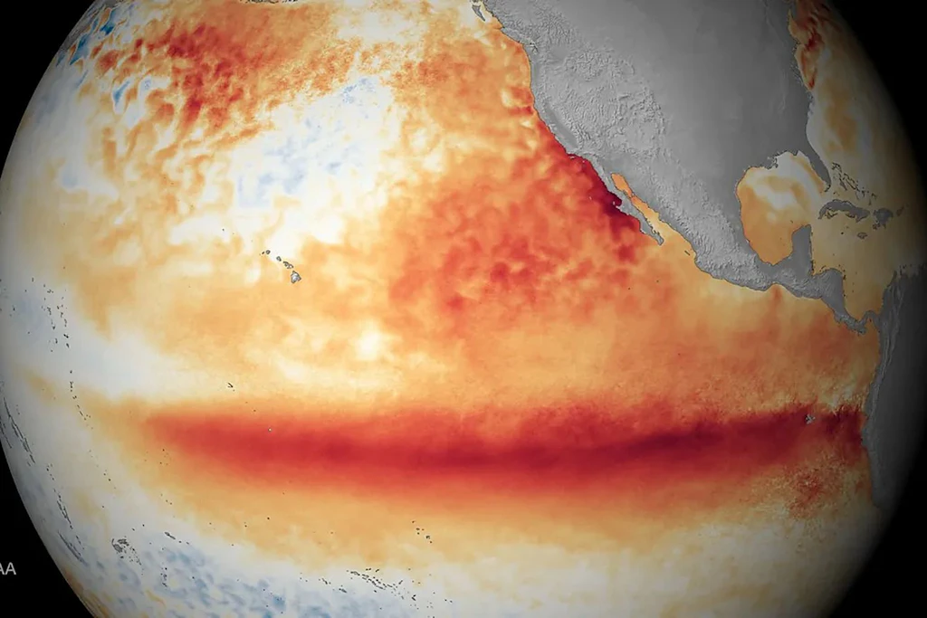 So sieht El Niño aus dem All aus: Je dunkler das Rot, desto stärker weicht die Meeresoberflächentemperatur nach oben ab. Am 3. September legt die Weltwetterorganisation ihre neue Prognose vor. (Symbolbild)