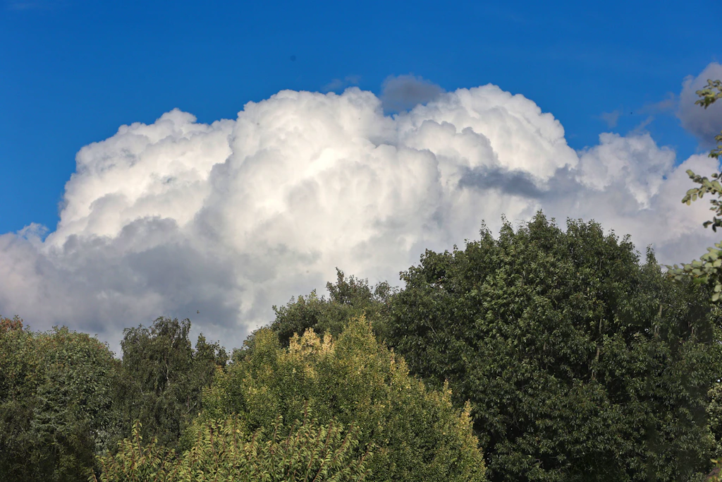 Quellbewölkung über Deutschland: Zum Start des meteorologischen Herbstes bleibt es wechselhaft, im Südwesten steigen die Werte erst zum Freitag wieder auf bis zu 28 Grad. (Symbolbild)