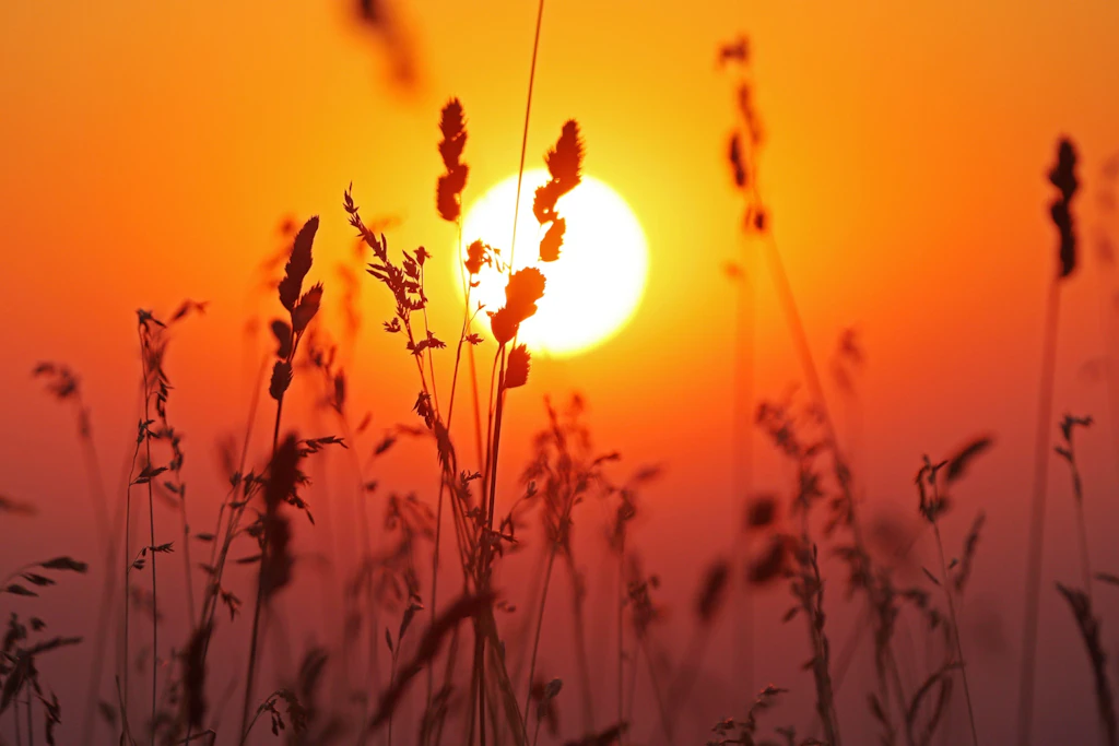 Die aufgehende Sonne färbt den Himmel am Brocken in ein warmes Orange. Zum Wochenende wird es noch mal sommerlich warm (Norden und Mitte) bis heiß (Südwesten).