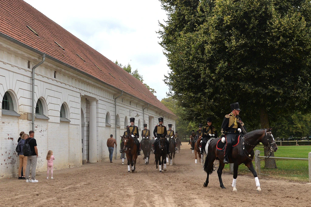 Die Lützower Jäger sind das Markenzeichen des Landgestüts Redefin – hier bei der Rückkehr von der Vorführung bei den Redefiner Pferdetagen 2026 in die denkmalgeschützten Stallungen des deutschlandweit einzigartigen Gestütsensembles.