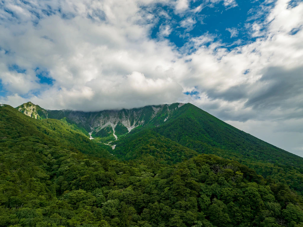 Wer legt 39 Kilo Toastbrot in diesen Nationalpark? Japans Polizei sucht den Täter
